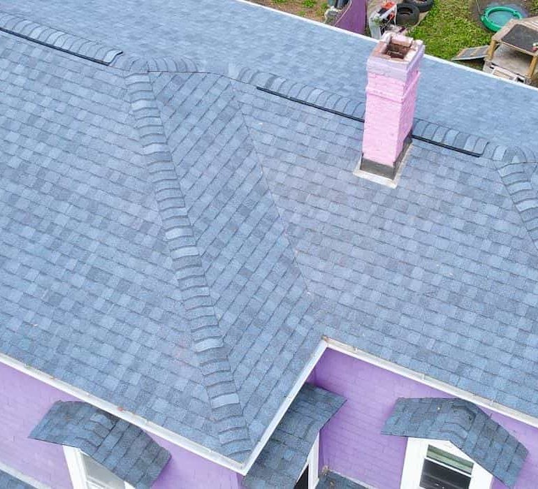 safeguard residential roof against pest damage Residential asphalt shingle roof structure showing areas vulnerable to pest entry and roof damage in suburban home setting