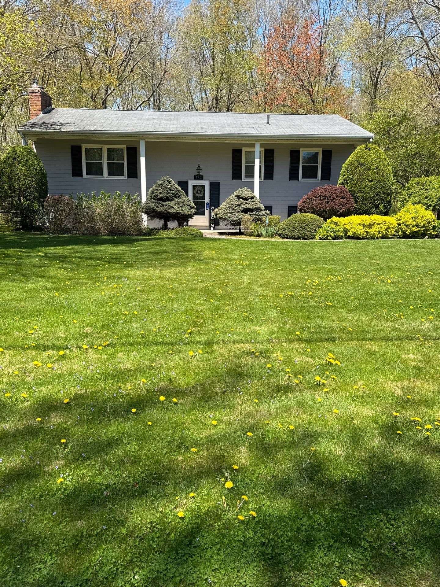 residential roofing service shingle installation Residential roofing service with asphalt shingle roof installation by professional roofing contractors.