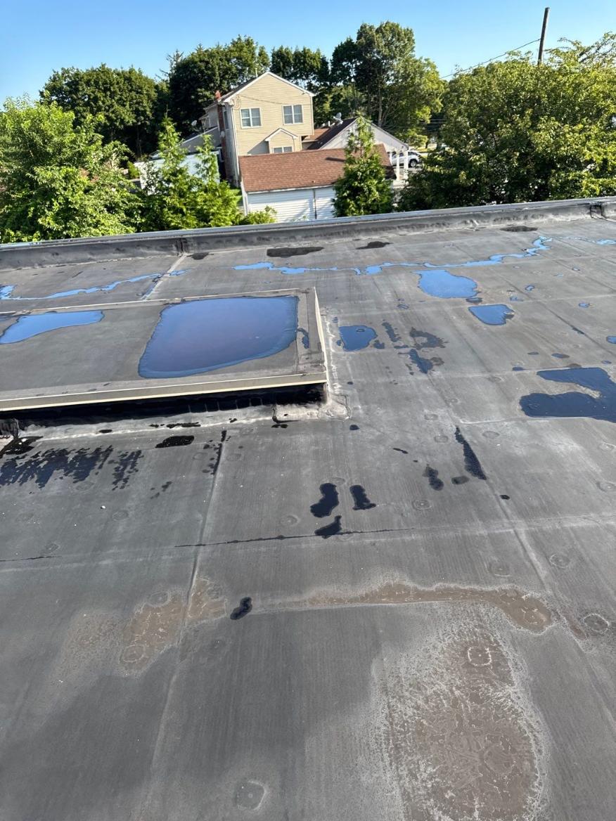 flat roof ponding water solutions commercial building Ponding water on a commercial flat roof highlighting drainage issues and the need for professional flat roof repair.