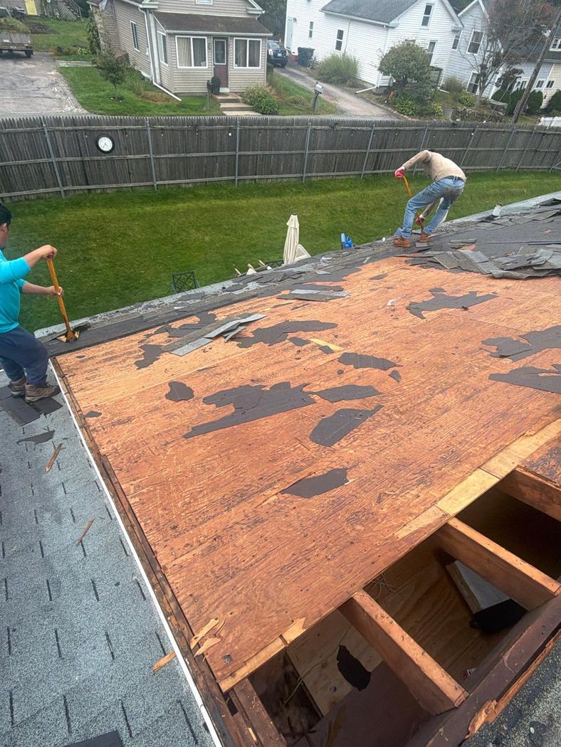 roof sheathing moisture damage rhode island Roof sheathing exposed during shingle removal with areas of worn and damaged plywood